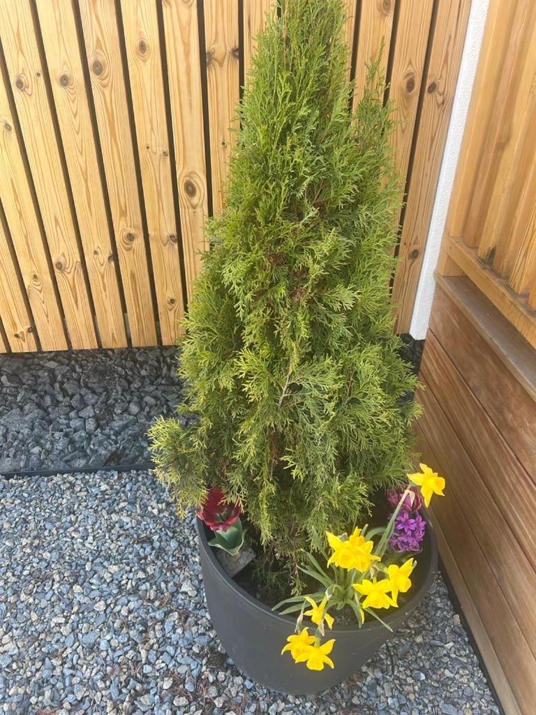 Ferienwohnung Domcek Pod Vezami S Virivkou A Grilom, Pri Termalnom Kupalisku Liptovský Ján Exterior foto